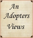 Adoptive Parent's reflection.pdf